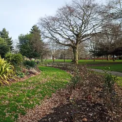 Plaistow Park - Newham