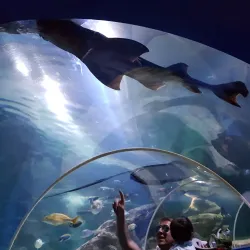 Blue Reef Aquarium - Newquay