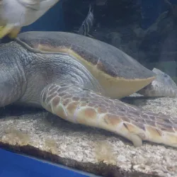 Blue Reef Aquarium - Newquay