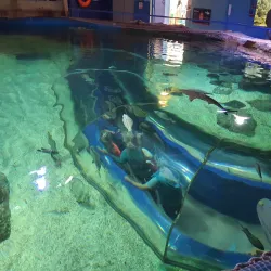 Blue Reef Aquarium - Newquay