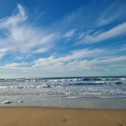 Fistral Beach - Newquay