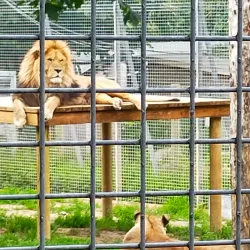 Newquay Zoo - Newquay