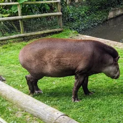 Newquay Zoo - Newquay