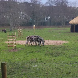 Newquay Zoo - Newquay