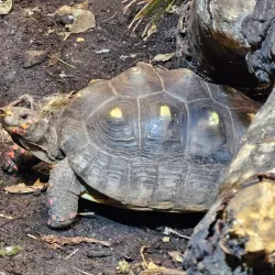 Newquay Zoo - Newquay