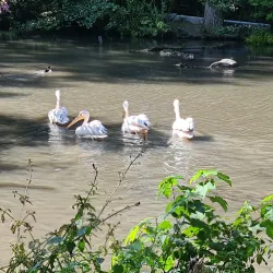 Newquay Zoo - Newquay