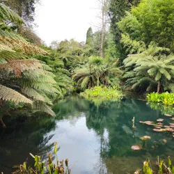 The Lost Gardens of Heligan - Newquay