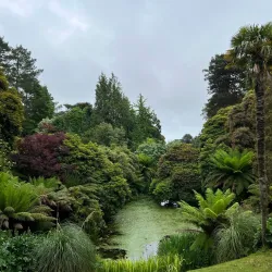 The Lost Gardens of Heligan - Newquay