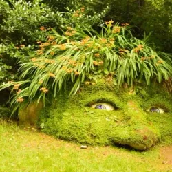 The Lost Gardens of Heligan - Newquay