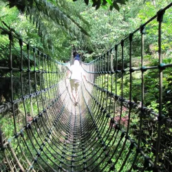 The Lost Gardens of Heligan - Newquay