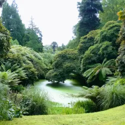 The Lost Gardens of Heligan - Newquay