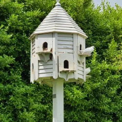The Lost Gardens of Heligan - Newquay