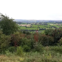 Dolforwyn Castle - Newtown