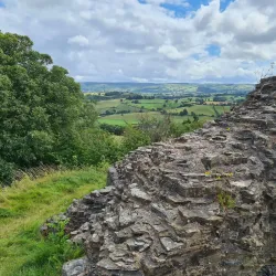 Dolforwyn Castle - Newtown