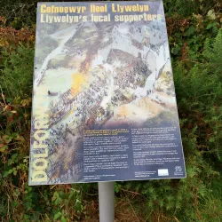 Dolforwyn Castle - Newtown