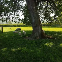 Newtown Arts Centre - Newtown