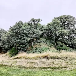 Newtown Golf Club - Newtown