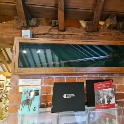 Powysland Museum - Newtown