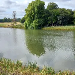 Holkham Hall - Norfolk