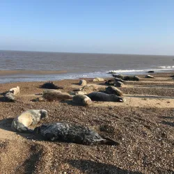 Norfolk Broads National Park - Norfolk