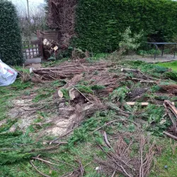 Davenham Village - Northwich