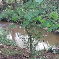 Davenham Village - Northwich