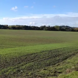 Davenham Village - Northwich