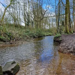 Marbury Country Park - Northwich