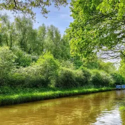 Marbury Country Park - Northwich