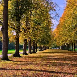 Northwich Community Woodlands - Northwich