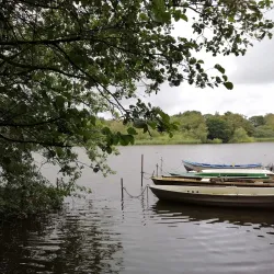 Northwich Community Woodlands - Northwich