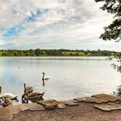 Northwich Woodlands - Northwich