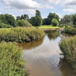 Riverside Walks along the River Weaver - Northwich