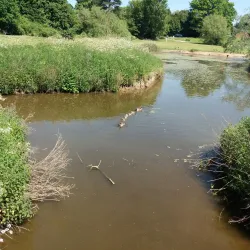 Riverside Walks along the River Weaver - Northwich