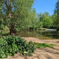 Riverside Walks along the River Weaver - Northwich