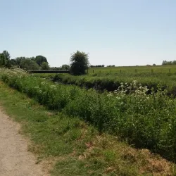 Riverside Walks along the River Weaver - Northwich