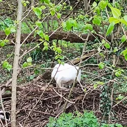 Riverside Walks along the River Weaver - Northwich