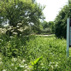 Riverside Walks along the River Weaver - Northwich