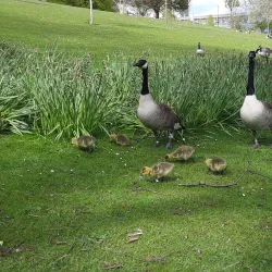 Highfields Park - Nottingham