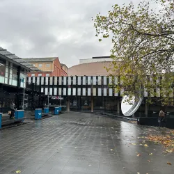 Nottingham Playhouse - Nottingham