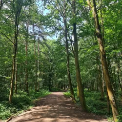 Hartshill Hayes Country Park - Nuneaton