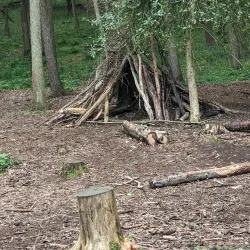 Hartshill Hayes Country Park - Nuneaton