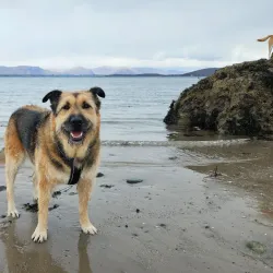 Ganavan Sands - Oban