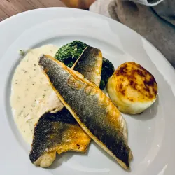 Oban Waterfront and Harbor - Oban