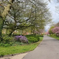 Alexandra Park - Oldham