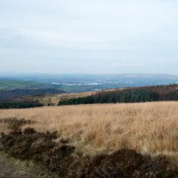 Crompton Moor - Oldham