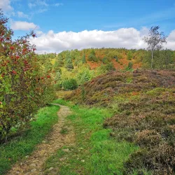 Crompton Moor - Oldham