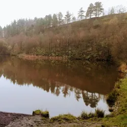 Crompton Moor - Oldham