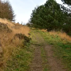 Crompton Moor - Oldham