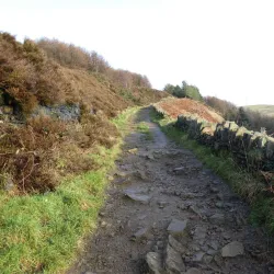 Crompton Moor - Oldham